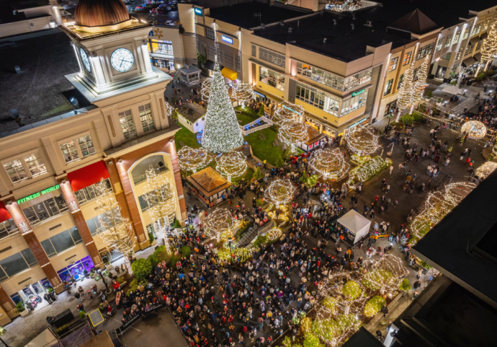 Holiday Tree Light Up